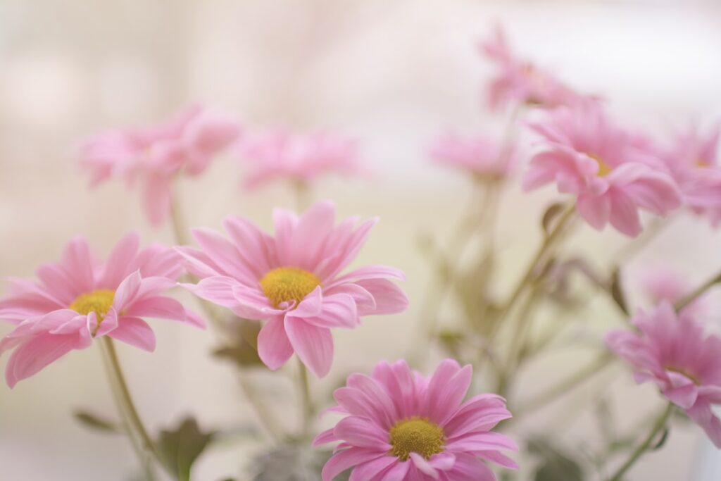 Photo casket, flowers